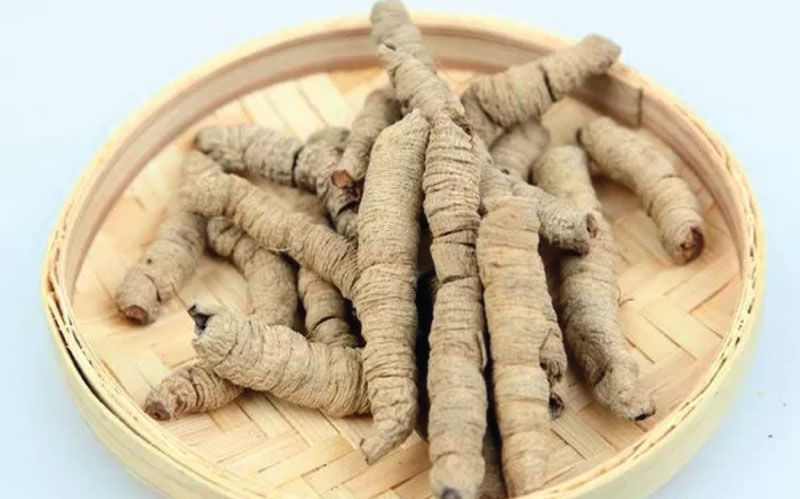 thuoc-nam-lam-giam-sinh-ly-dan-ong-2