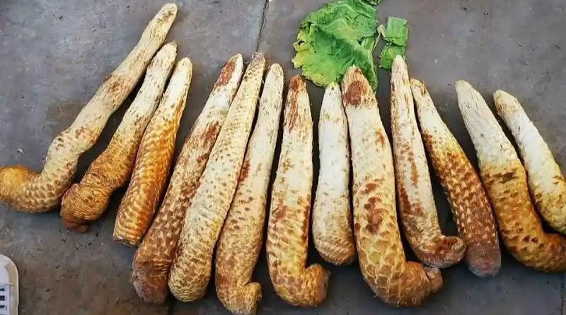 thuoc-nam-lam-giam-sinh-ly-dan-ong-4