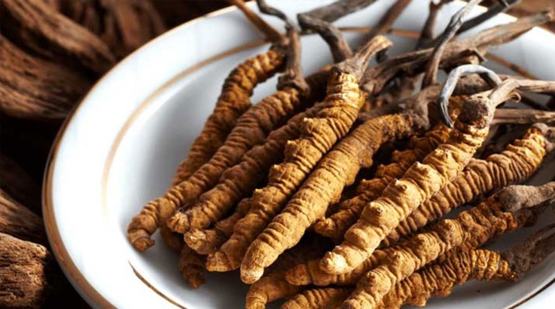 thuoc-nam-lam-giam-sinh-ly-dan-ong-6