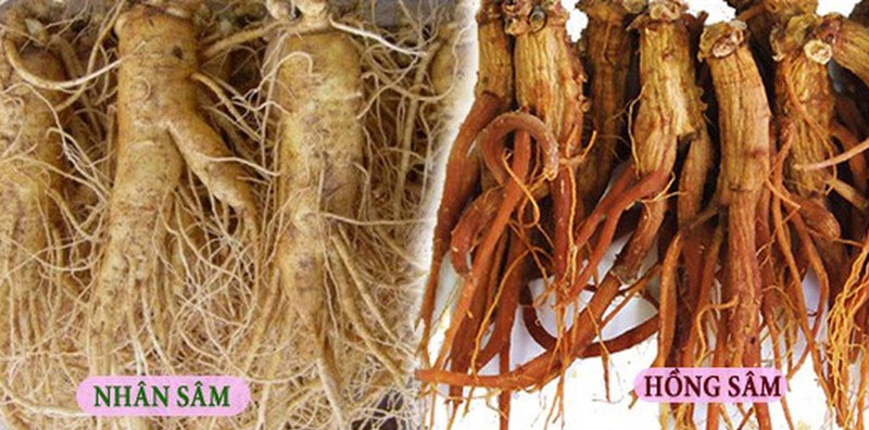 thuoc-nam-lam-giam-sinh-ly-dan-ong-8