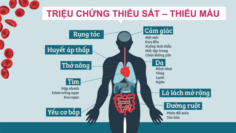 thuc-pham-bo-sung-sat-2