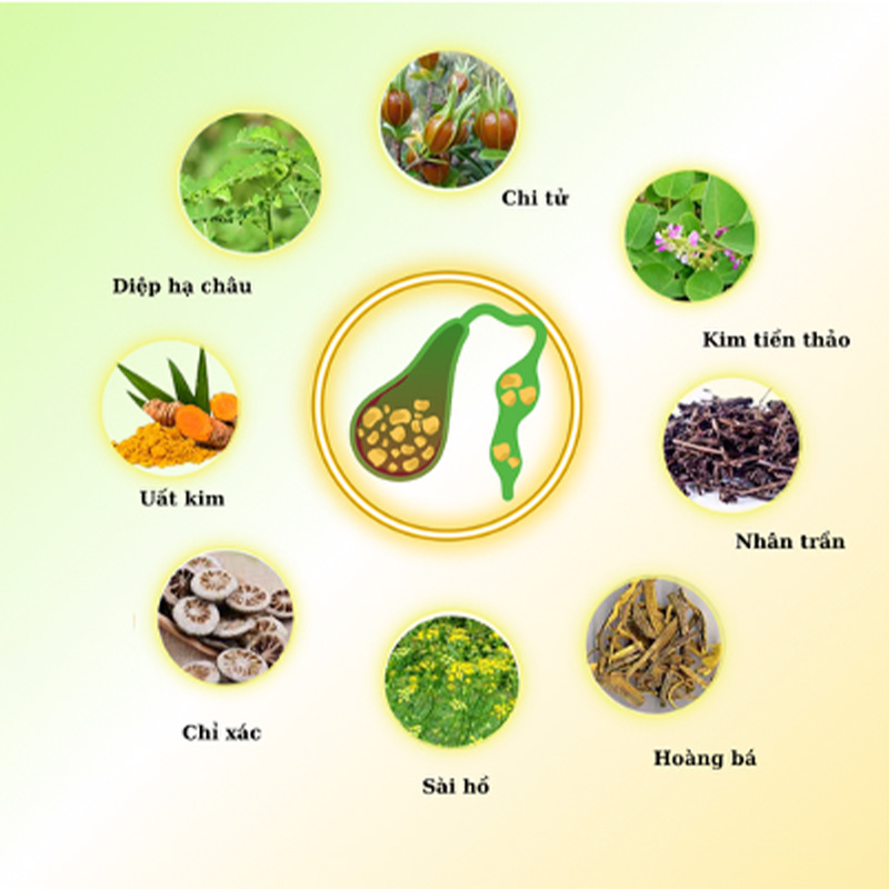 Thành phần của thực phẩm bảo vệ sức khỏe Kim Đởm Khang