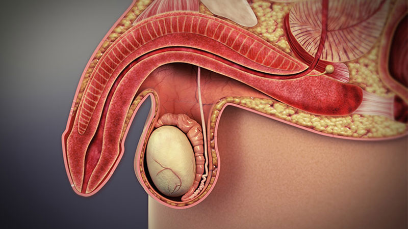 Thực hư cách quan hệ lâu ra bằng kem đánh răng và dầu gió