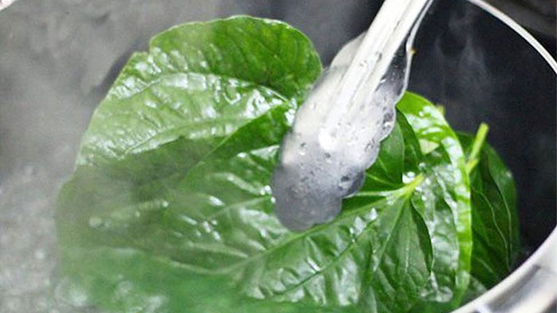 Hướng dẫn vệ sinh, rửa ngâm vùng kín bằng lá trầu không