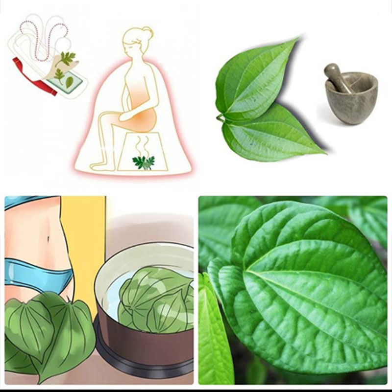 Hướng dẫn vệ sinh, rửa ngâm vùng kín bằng lá trầu không