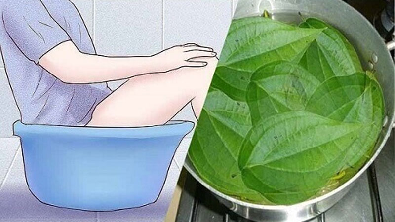 Hướng dẫn vệ sinh, rửa ngâm vùng kín bằng lá trầu không