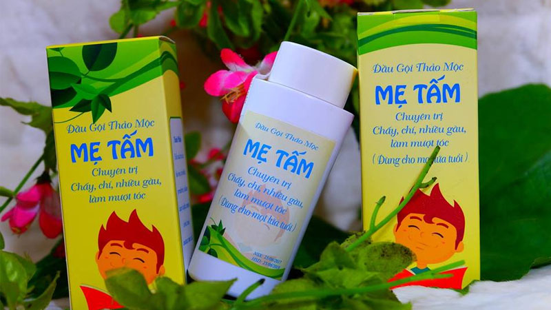 Gợi ý 8 loại thuốc và dầu gội trị chấy cho bé an toàn, hiệu quả nhanh