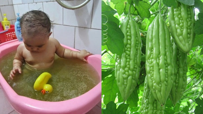 Cách nấu nước tắm mướp đắng trị rôm sảy cho bé