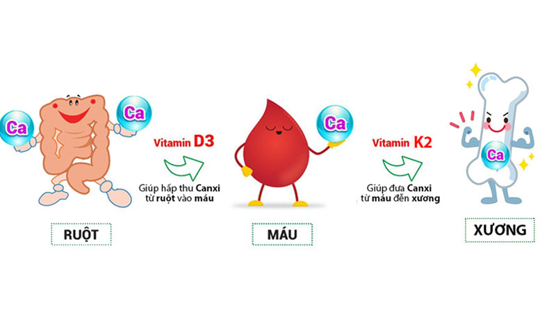 Cách bổ sung canxi cho trẻ sơ sinh các mẹ nên biết