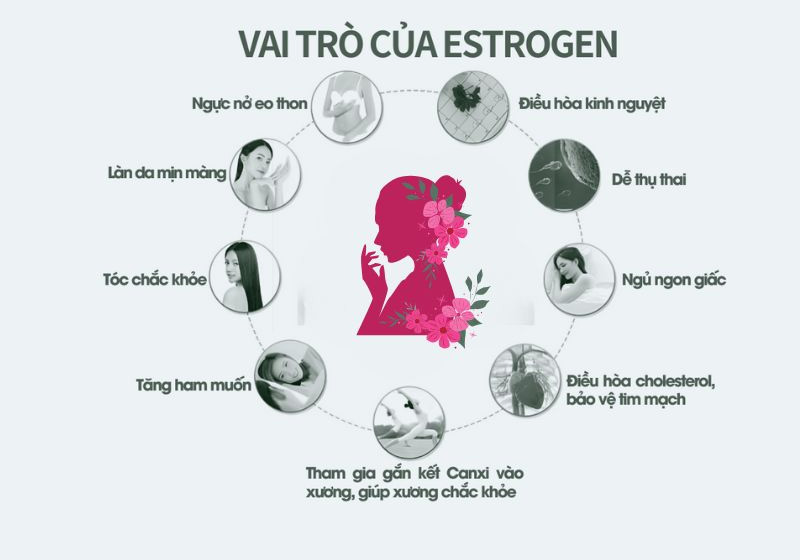 TOP 14 loại thực phẩm chứa estrogen an toàn và tốt nhất hiện nay