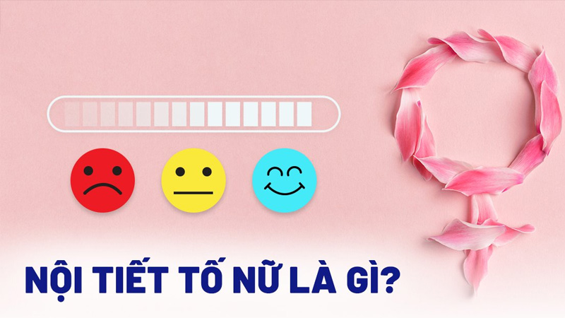 Rối loạn nội tiết tố nữ: Dấu hiệu nhận biết và nguyên nhân