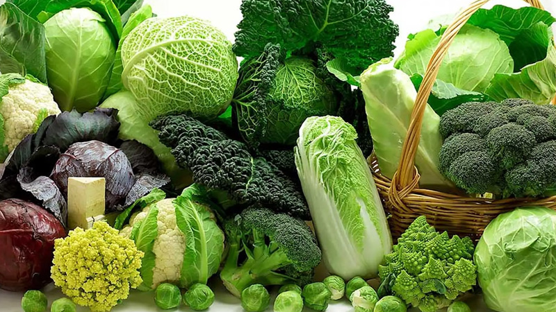 TOP 14 loại thực phẩm chứa estrogen an toàn và tốt nhất hiện nay