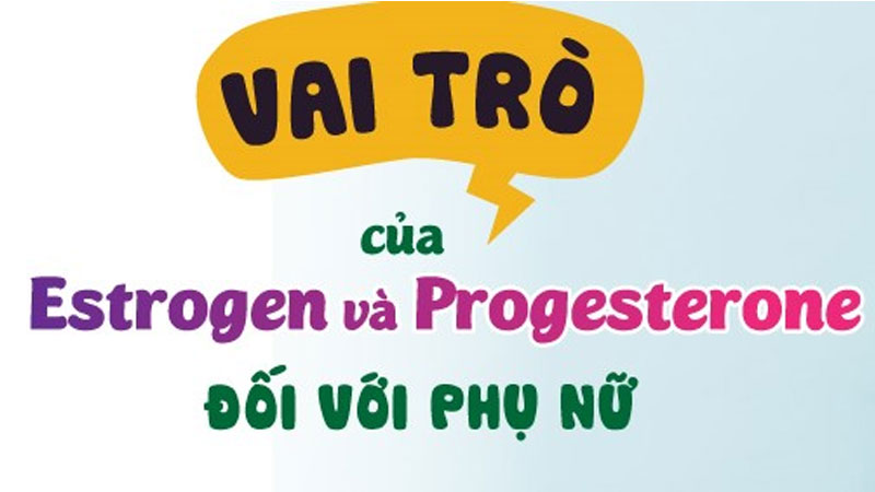 Estrogen và progesterone: Vai trò, sự khác biệt và cách bổ sung hiệu quả