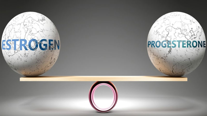 Estrogen và progesterone: Vai trò, sự khác biệt và cách bổ sung hiệu quả