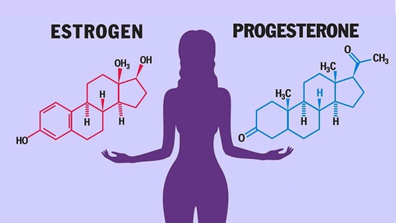 Estrogen và progesterone: Vai trò, sự khác biệt và cách bổ sung hiệu quả