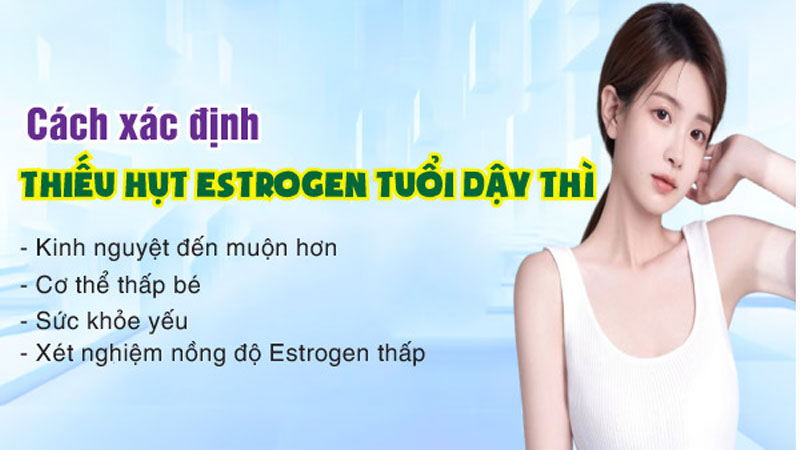 Dấu hiệu thiếu hụt estrogen ở tuổi dậy thì và cách bổ sung hiệu quả