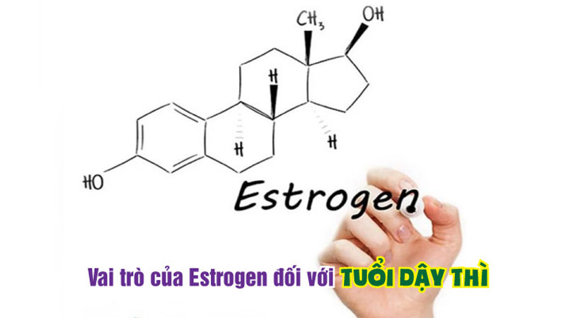 Dấu hiệu thiếu hụt estrogen ở tuổi dậy thì và cách bổ sung hiệu quả