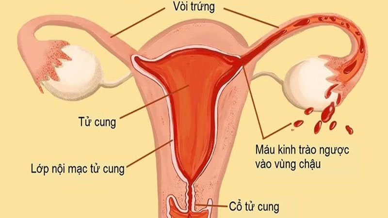 Quan hệ xong ra dịch vàng, xanh có nguy hiểm không?