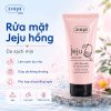 Rửa mặt kiềm dầu Jeju hồng