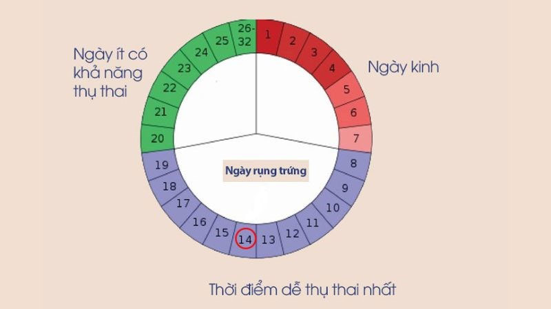 Sinh xong chưa có kinh quan hệ có bầu không?