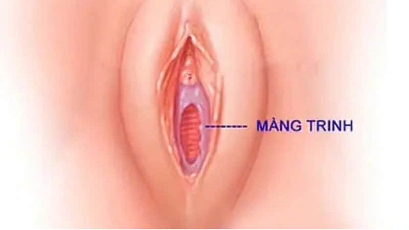 vi sao quan he lan dau khong ra mau 2 Nguyên nhân vì sao quan hệ lần đầu không ra máu?